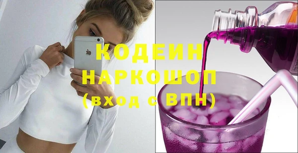 гашик Сатка