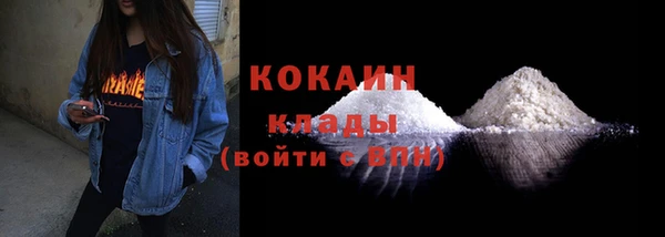 соль ск Богородицк
