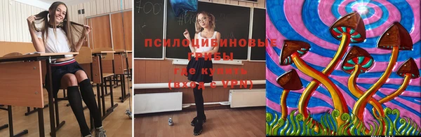 МДМА Богородск